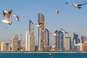 Skyline d& 39 Abu Dhabi avec des mouettes, Émirats Arabes Unis