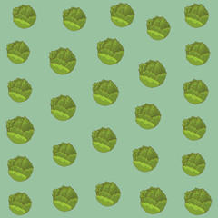 lettuce meal background