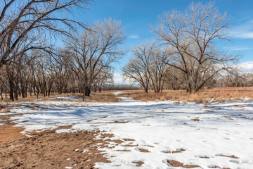 Open Trail Landscape