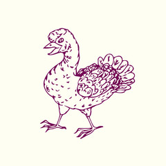 Bird hand drawn doodle, sketch in naïve style, outline vector illustration