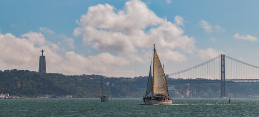 Tejo River V