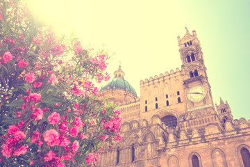 Flowers in bloom at a Palermo, Sicily church 