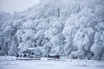 Winter Frost Saskatchewan