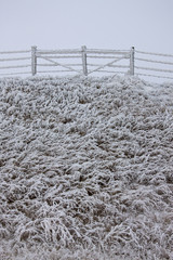 Winter Frost Saskatchewan