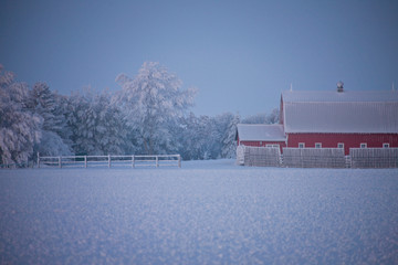 Winter Frost Saskatchewan