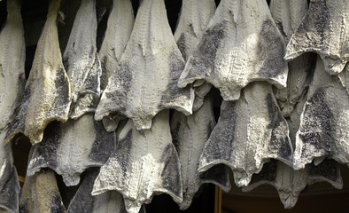 Salted cod fishery