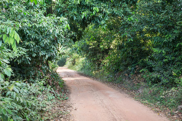 Fototapeta na wymiar Kulen Mountains Jungle road, Cambodia 