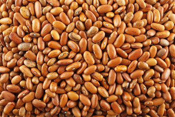 Food background - raw light brown kidney beans