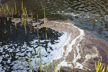 Water pollution at lake