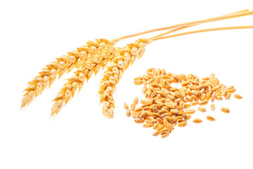 Grain and ears of wheat isolated on white background.