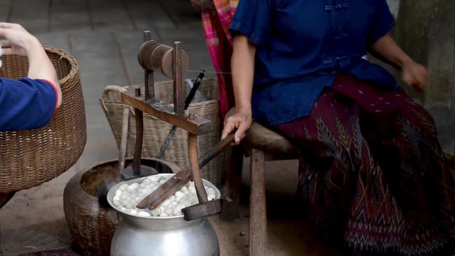 woman pulling silk from cocoons silkworm