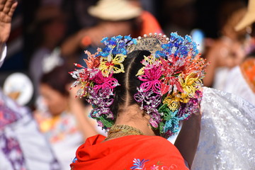 Panama wobling head © GilbertoH