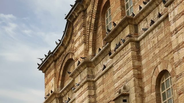 Bursa Ottoman Emir Sultan Mosque Outdoor Birds