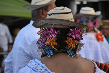 Panama wobling head © GilbertoH