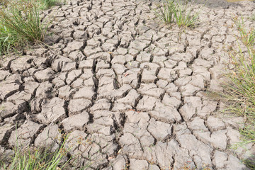 view of cracked mud in a pond after a dry hot summer