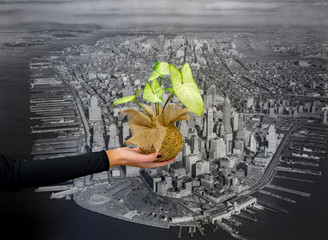 Woman holding a green plant in front of a black and white photograph of a city