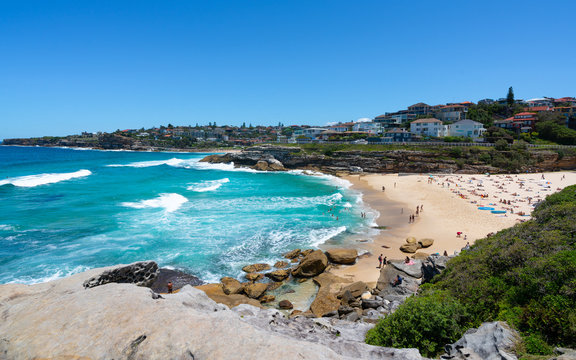 1 463 Best Tamarama Images Stock Photos Vectors Adobe Stock