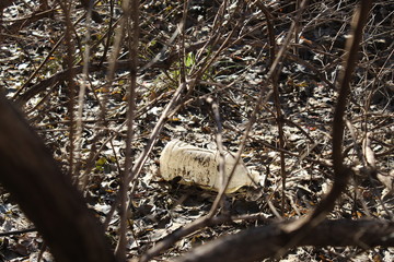 Plastic Bottle in the Woods