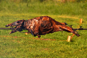 Roasting wild boar,  Wild Boar grilling on the spit,alien