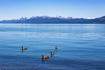 Fototapeta na wymiar Lake Tahoe