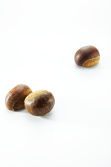 Closeup of chestnut on a white background