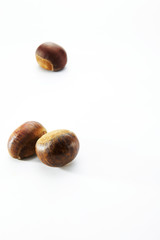 Closeup of chestnut on a white background