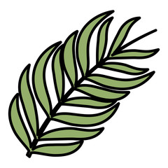 tropical leaf ecology icon
