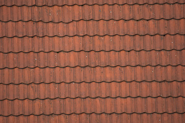 Roof in Romania (roof, tile)