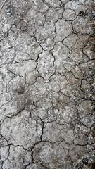  dry earth texture