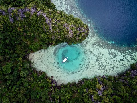 Aerial view of tour boats in the green lagoon Coron, Philippines