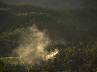 Obraz premium Dym w lesie w Tajlandii