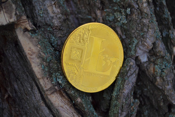 Golden coin of virutal currency laying on  bark background