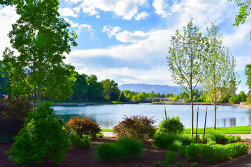 Obraz premium landscape with lake and trees