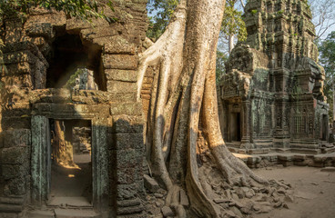 Naklejka premium Ta Prohm Temple - Siem Reap, Cambodia