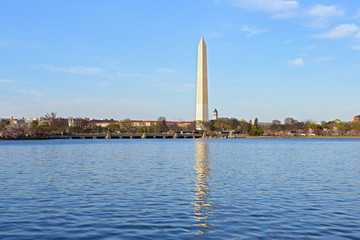 Washington DC panorama during cherry blossom near Tidal Basin, USA. Blossoming cherry trees around Tidal Basin reservoir with Washington Monument in a view on national Mall.