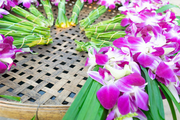 The orchids that are prepared on the wicker have less space