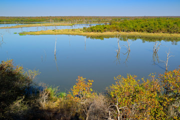 Kruger National Park landscape