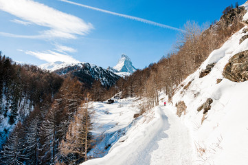 Zermatt, Furi, Zmutt, Matterhorn, Wanderweg, Winterwanderung, Wintersport, L&auml;rchenwald, Wanderer, Blatten, zum See, Wallis, Alpen, Walliser Berge, Winter, Schweiz