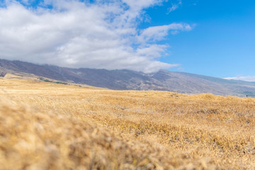 Landscape along Piilani Highway on the island of Maui, Hawaii, USA. Also known as the back road to Hana, the highway leads along Mt. Haleakala's southern flank. Beautiful dry grass and mountain. © Juergen Wallstabe