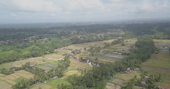 Rice terraces, Bali, Indonesia, Land rice terraces 4K