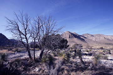 Guadalupe Mountains National Park