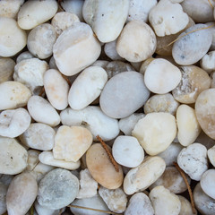 white stone texture background