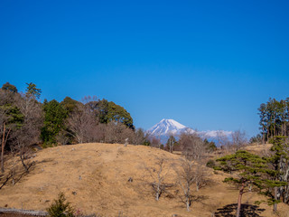 Fototapeta premium 【静岡県伊豆市】冬の公園風景【修善寺虹の郷】