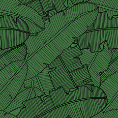 Vector tropical seamless pattern with banana leaves. Exotic plants in green color. Abstract hand drawn textile print.