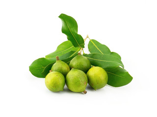 Group of macadamia in husk isolated on white background