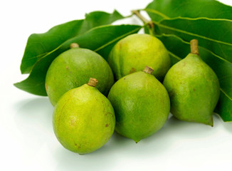 Group of macadamia in husk isolated on white background