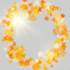 Fall maple leaves frame with delicate sun for decoration. Autumn leaves border template. Design element. EPS 10
