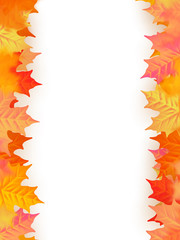 Back to school template. Autumn background with leaves. EPS 10