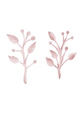 Valentines day. Watercolor style illustration of pink branches with berries on the flat white background