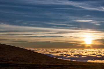 Horses silhouettes on a mountain over a sea of fog at sunset, with beautiful warm colors